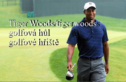 Tiger Woods/tiger woods